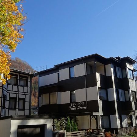 Pension Villa Irene Бад-Гарцбург Экстерьер фото